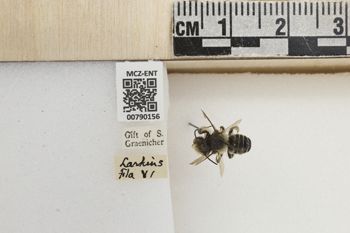 Media type: image;   Entomology 790156 Aspect: Labels